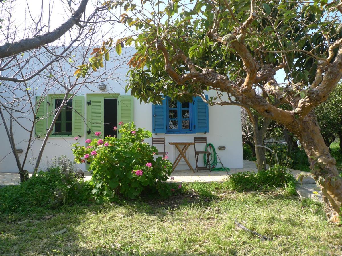 Phlea Farm Studios Άλιντα Εξωτερικό φωτογραφία