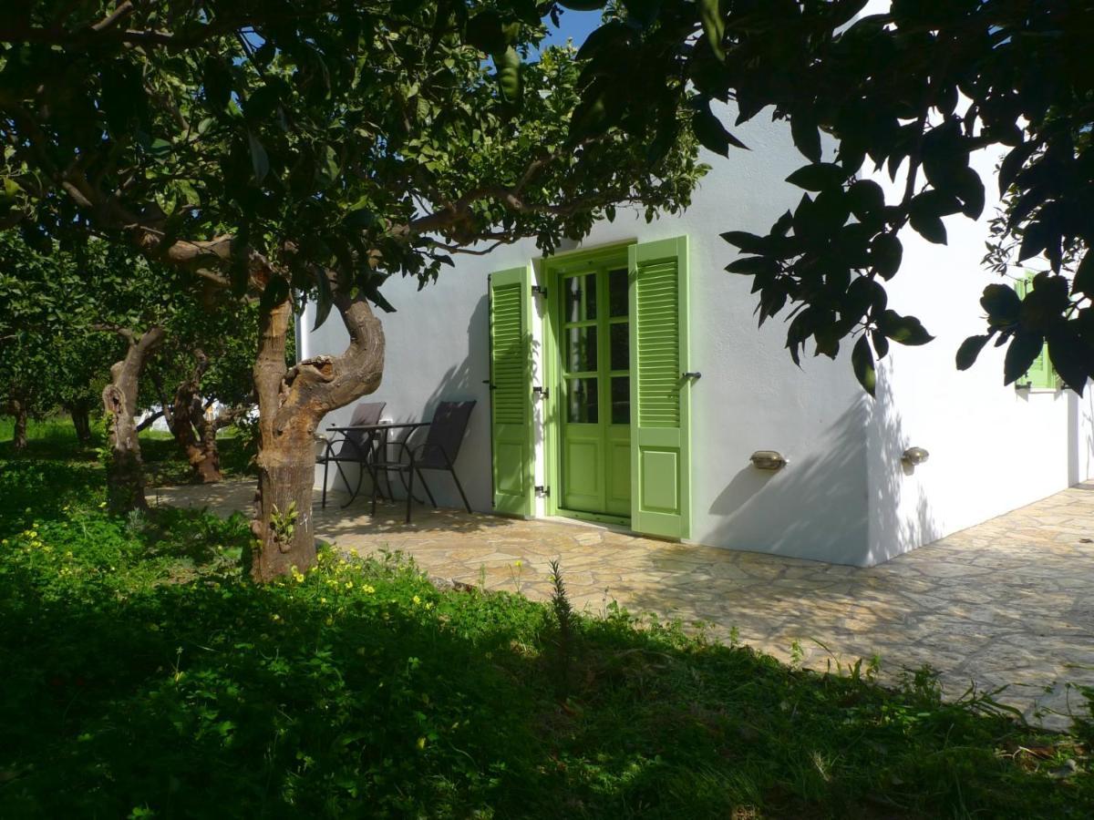 Phlea Farm Studios Άλιντα Εξωτερικό φωτογραφία