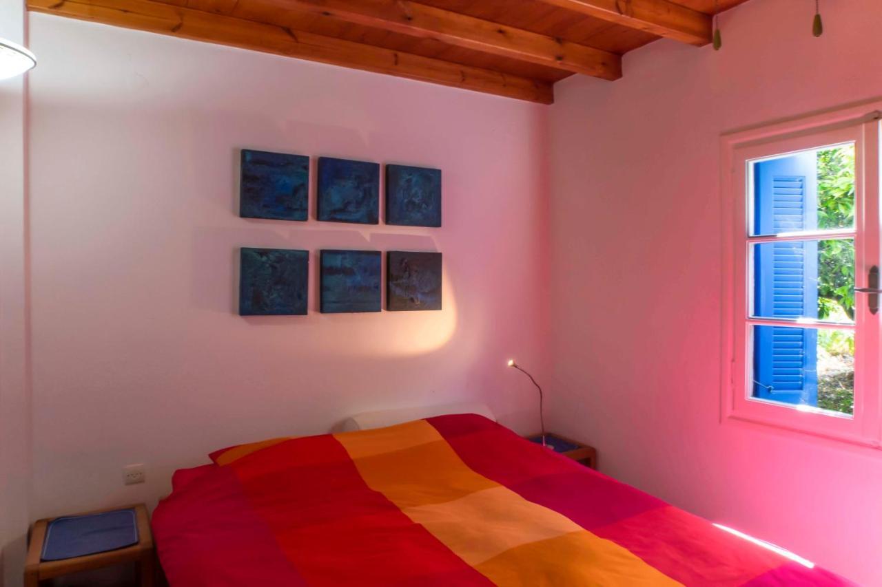 Phlea Farm Studios Άλιντα Εξωτερικό φωτογραφία