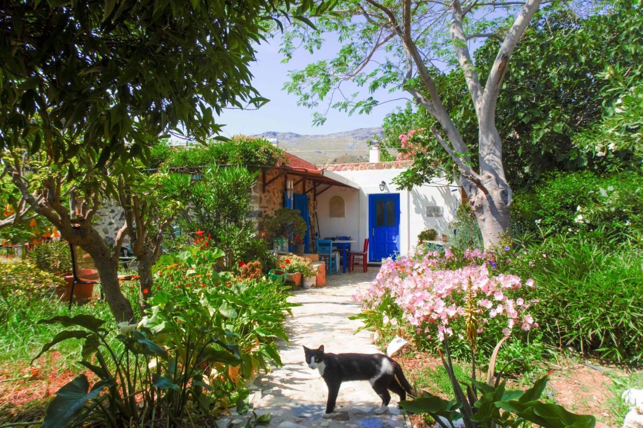 Phlea Farm Studios Άλιντα Εξωτερικό φωτογραφία