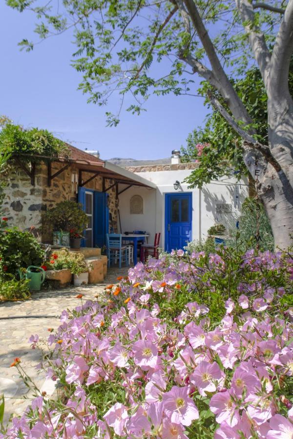 Phlea Farm Studios Άλιντα Εξωτερικό φωτογραφία