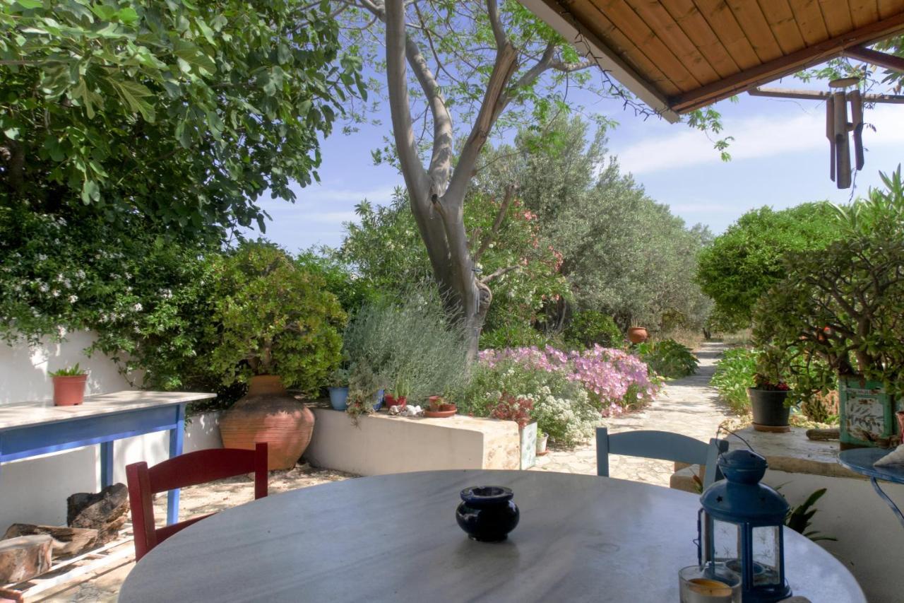 Phlea Farm Studios Άλιντα Εξωτερικό φωτογραφία