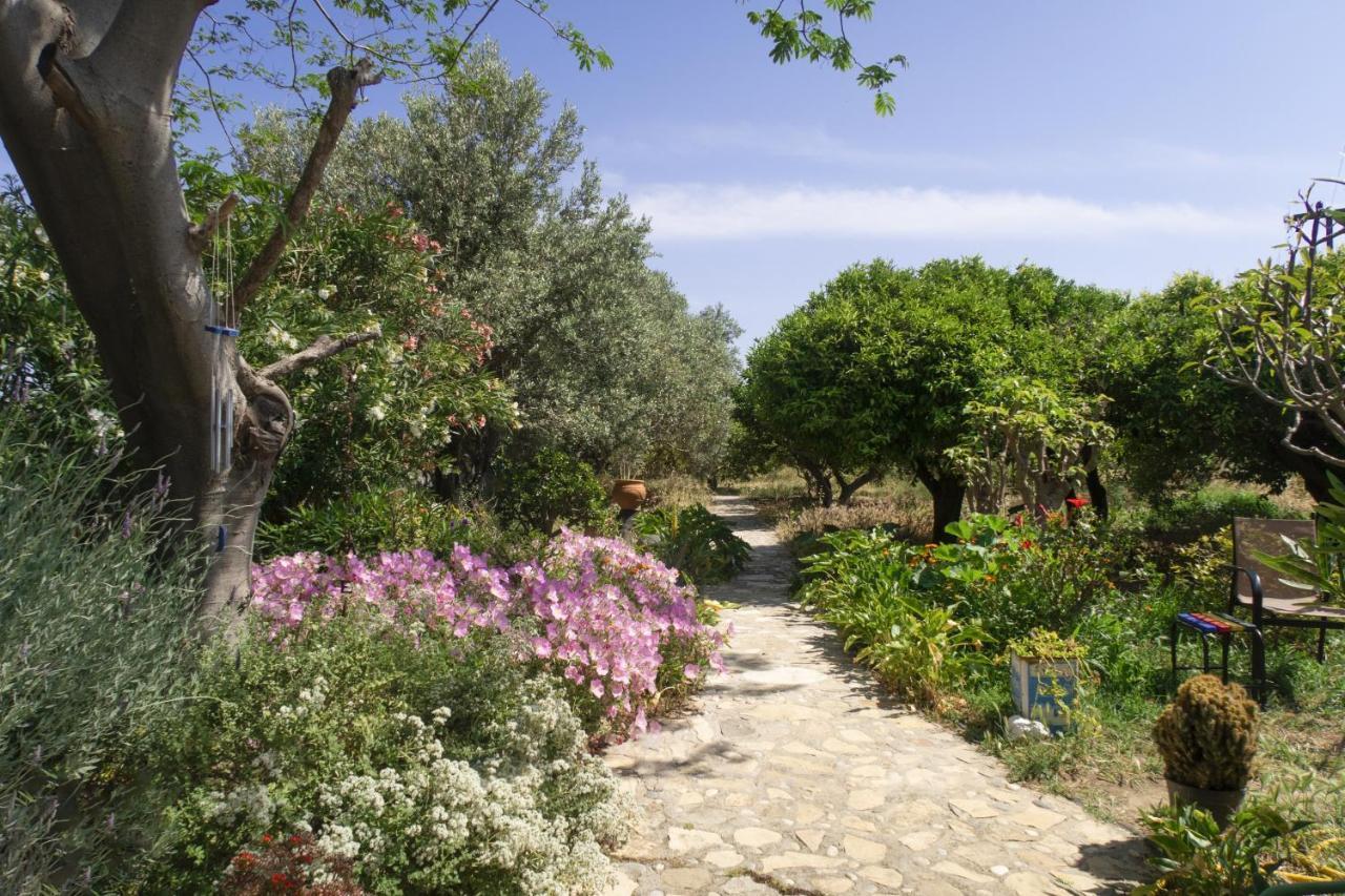 Phlea Farm Studios Άλιντα Εξωτερικό φωτογραφία
